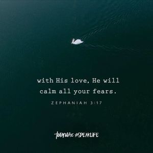 Meet your Posher, Ginger